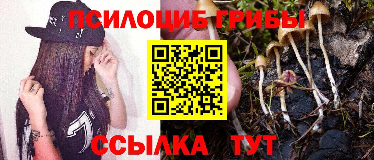 Псилоцибиновые грибы мицелий  Вход с VPN  Саратов  Галлюциногенные грибы Cubensis 